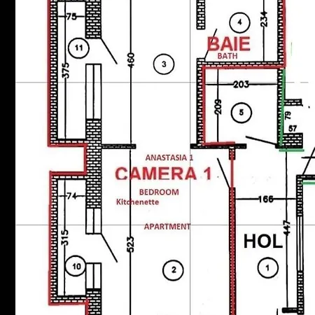 Apartment Anastasia Balcescu 1 Beautiful View Self Check In Code From 2 Pm Only Microwave